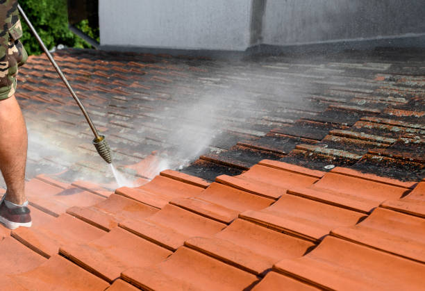 Best Best Pressure Washing Companies  in Pingree Grove, IL