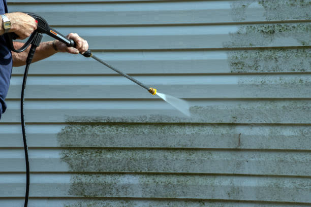 Best Commercial Pressure Washing  in Pingree Grove, IL