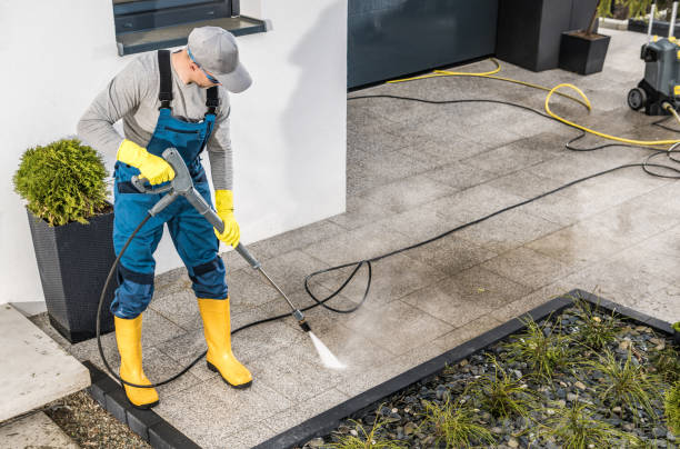 Best Deck Cleaning Services  in Pingree Grove, IL